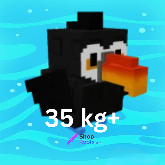 HUGE Toucan